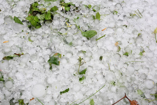 En plena ola de calor en México, este pueblo se cubre de hielo