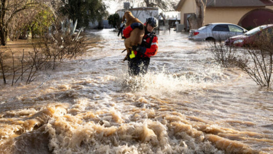 Tormentas en California: al menos 17 personas han muerto y un niño de 5 años ha sido arrastrado por el agua