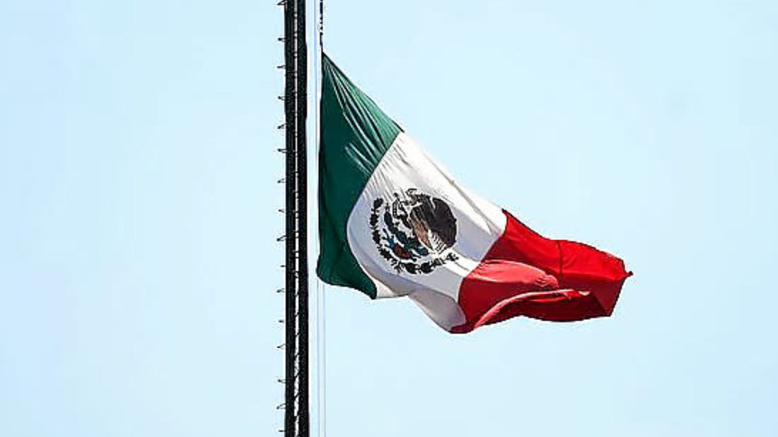 México: Encuentran con vida a la periodista secuestrada