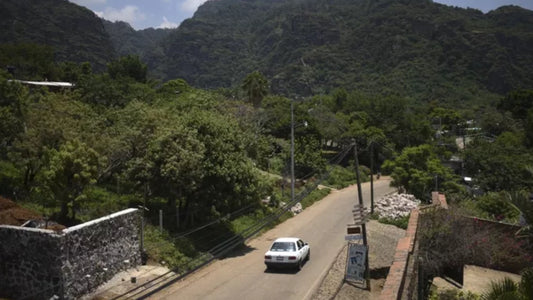 México: siete muertos en la explosión de un taller de pirotecnia