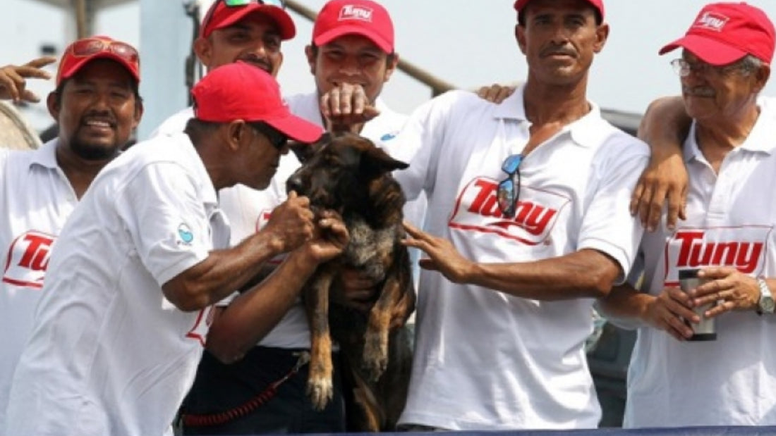 Un náufrago australiano rescatado en alta mar deja a su perro en México
