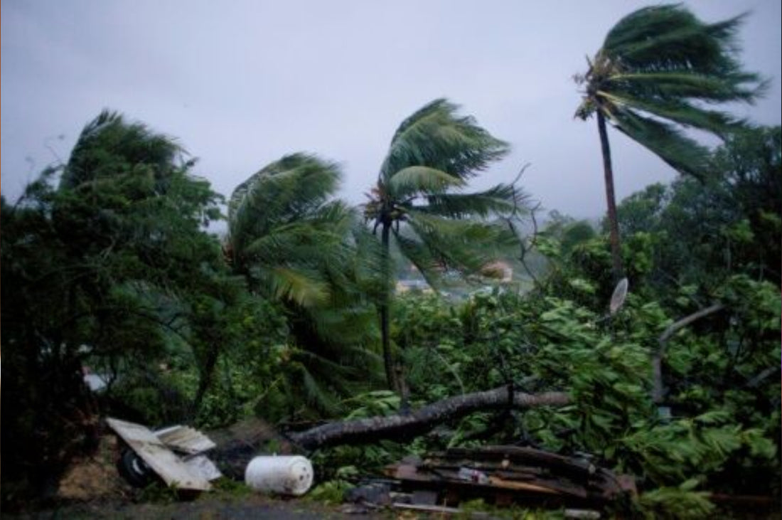 La tormenta Fiona llega a Guadalupe y se aconseja a los residentes que se queden en casa